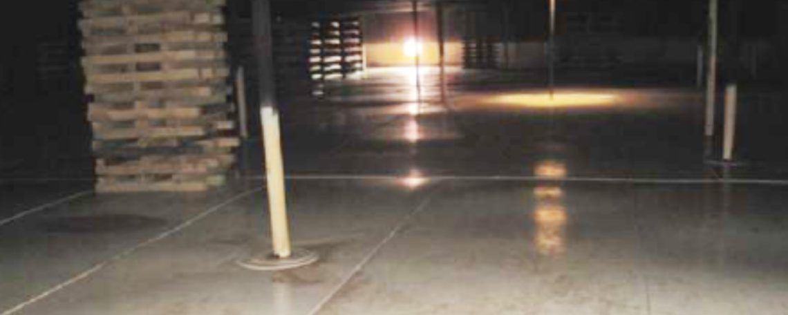 How Floating Roof Repair Support Helps Avoid Costly Delays